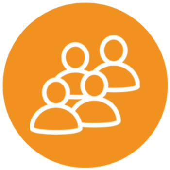 Meet the Team